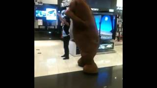 El oso gracioso bailando [upl. by Neerod]