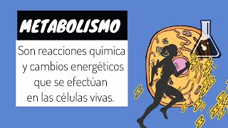 💪ANABOLISMO Y CATABOLISMO en 5 minutos GUIA EXÁMEN UNAM BIOLOGIA [upl. by Perkoff]