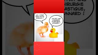 Le canard et la chirurgie plastique humour citation abonnetoi [upl. by Merrick198]