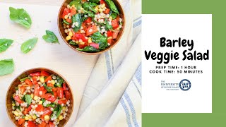 Barley Veggie Salad [upl. by Alessandra]