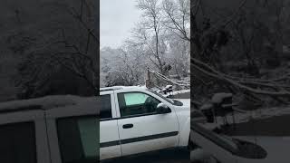 Snow in north Shreveport La [upl. by Aretina]