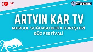 🐂 MURGUL SOĞUKSU BOĞA GÜREŞLERİ 1GÜZ FESTİVALİ 🎥 [upl. by Renba769]