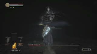 DARK SOULS 3 High Lord Wolnir boss fight No hit [upl. by Dowzall]