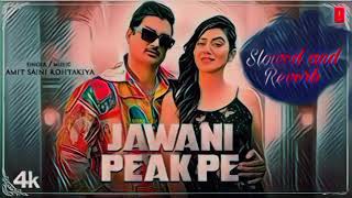 AMIT SAINI ROHTAKIYA NEW SONG JAWANI PEAK PE SLOWED AND REVERB l lofi amitsainirohtakiya [upl. by Adnuhsat253]