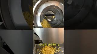 Popcorn maker machineIndustrial automatic caramel popcorn equipmentpopcornmakingmachine [upl. by Nolahc]