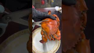 shortvideo foodie shorts crab fouryou fyp [upl. by Nolyaw]