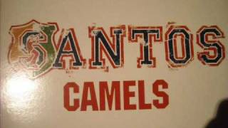 Santos camels DJ Zinc remix [upl. by Osnofledi794]