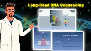 Understanding LongRead Sequencing An Introduction to ThirdGeneration Sequencing Technologies [upl. by Sabrina]