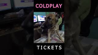 Tried Hard To Book Coldplay Tickets Bad Luck coldplay concert entertainment comedy [upl. by Alecram932]