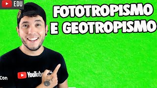 Aula 348 FOTOTROPISMO E GEOTROPISMO│Biolodúvidas PréVestibular [upl. by Juetta]