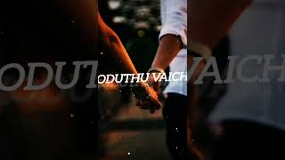 shortsfeed shorts songedit txn vandaa subscribe support love lovesong like official [upl. by Sprague]