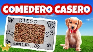 COMO HACER UN COMEDERO CASERO PARA PERROS y GATOS🐱🍽🐶  Perros Chile [upl. by Pax]