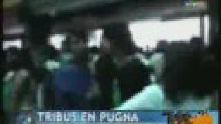 Peleas abasto cumbieros floggers [upl. by Ttessil]