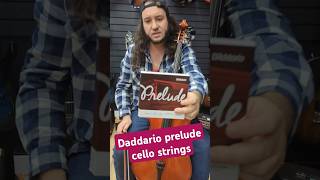 Daddario prelude cello strings love cello daddariostrings orchestra rockmusician guitarshop [upl. by Airb]