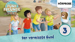 Fünf Freunde Junior  Folge 3 Timmy der MeisterdetektivDer vermisste Hund  Hörprobe zum Hörspiel [upl. by Korenblat]