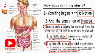 VOMITING EXPLAINED BOTH Anatomy and Physiology  Animation [upl. by Munroe910]