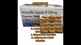 Amoxycillin Capsule penicillin Antibiotics use Side effectsshort videos [upl. by Nelleus]