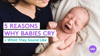 5 Basic Reasons Why Babies Cry What They Sound Like and What They Mean  What to Expect [upl. by Edlin]