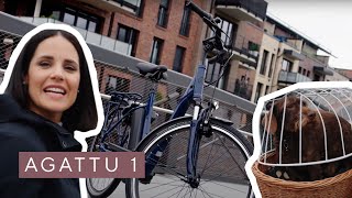 AGATTU 1 ► Das günstige City EBike mit dem besonderem Extra an Komfort von KALKHOFF [upl. by Bushey]