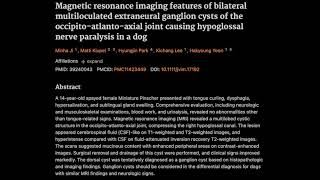 Clinical outcome of cats with suppurative otitis media and intact tympanum [upl. by Gleda488]