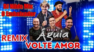 Banda AguiaVolte Amor Remix 2023 Dj Nildo Mix O Embaixador [upl. by Atsejam]