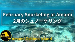 Snorkeling in February at Amami Oshima Japan [upl. by Felt206]