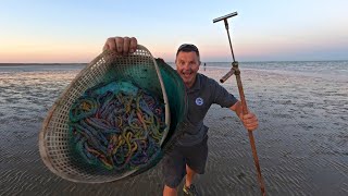 How to collect Lugworm  A simple effective method to SAVE Money and catch fish more Fish [upl. by Kaczer]