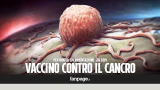 Vaccino contro il cancro efficace nel 100 dei casi sui topi malati di tumore [upl. by Berwick]