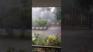 Jupiter mazha nanayam മഴ rainyday trendingshorts rainsong trending rainlover [upl. by Skill357]