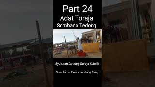 Part 24 Adat Suku Toraja Somba Tedong sukutoraja torajaunik shorts [upl. by Wiseman]