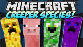 Minecraft  CREEPER SPECIES Flying Creepers  Mod Showcase 15 [upl. by Colley211]