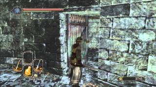 Dark Souls 2  Guide 26  Old Akelarre Part 1 [upl. by Leirbma]