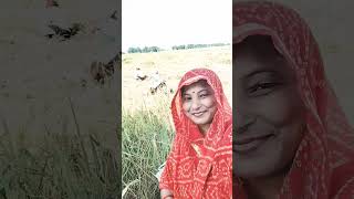 Lal dupatta malmal ka song bollywood [upl. by Campney]