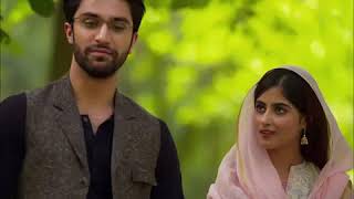 O matti k parindey Hum Tv Drama Yaqeen Ka Safar Richa Sharma [upl. by Reidid128]