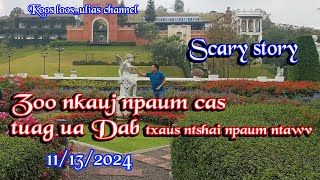 Zoo nkauj npaum cas tuag ua Dab txaus ntshai npaum ntawv 11132024 [upl. by Araf]