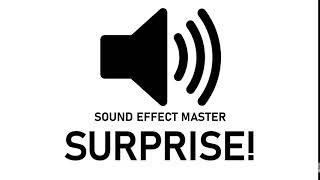 SURPRISE Sound Effect Metal Gear Solid Exclamation Mark [upl. by Anelas322]