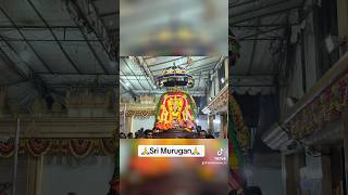 Sri Murugan [upl. by Hole]