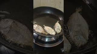 ponyfish dry fish frying satisfying sound  shorts video [upl. by Aljan]