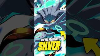 QUI est SILVER  Explication des ORIGINES de SILVER  silverthehedgehog silver [upl. by Balch]