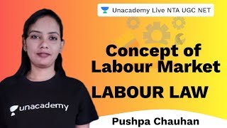 Concept of Labour Market  Labour Law  Unacademy Live NTA UGC NET  Pushpa Chauhan [upl. by Airdua303]