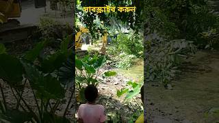 JCB working viralvideo youtubeshorts reels india modi viratkohli rahulgandhi trending [upl. by Hillard391]