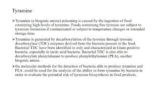 Tyramine and the MAO inhibitors [upl. by Abijah534]