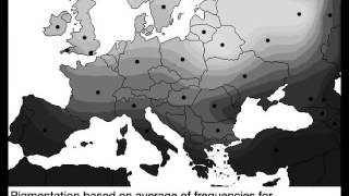 Blondism in Europe and USA [upl. by Leschen]