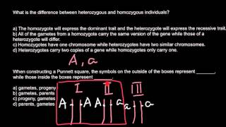 What is the difference between heterozygous and homozygous individuals [upl. by Anaerol221]