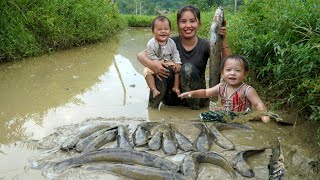 How to catch giant fish ponds after a rainy day and sell them at the market with your children [upl. by Jaquith]