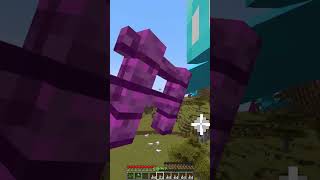 Protecting Villager vs Luck 3322 Moment meme shorts minecraft [upl. by Alexander75]