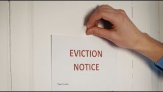 How much does an eviction cost in Chicago [upl. by Edmondo]