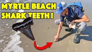 Shark Tooth Hunting the Carolinas Myrtle Beach [upl. by Em366]