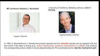 Buchwald Hartwig Palladium catalyzed cross coupling to make CN new bond [upl. by Jeavons]