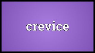 Crevice Meaning [upl. by Meris403]